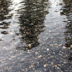 Meet your Posher, Krissy